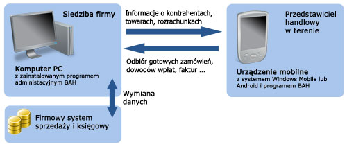 BAH - system wspomagania pracy przedstawiciela handlowego